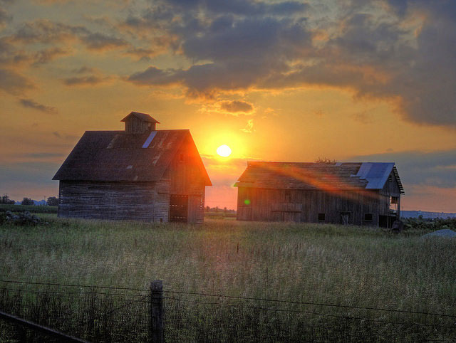 sun rise