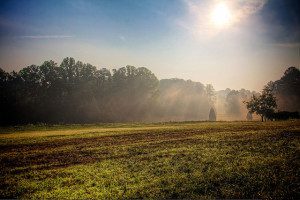 Don’t miss the morning