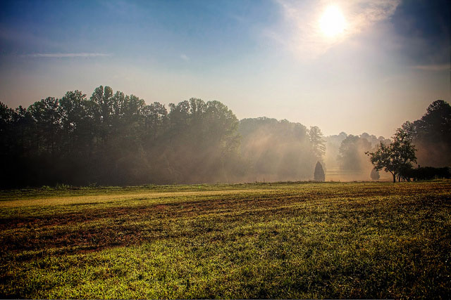 Don’t miss the morning
