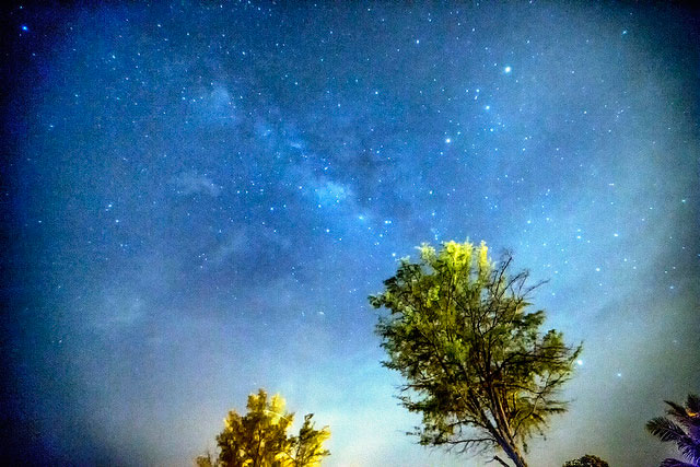 I want to wish you a good night